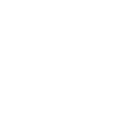 wet mop floor icon