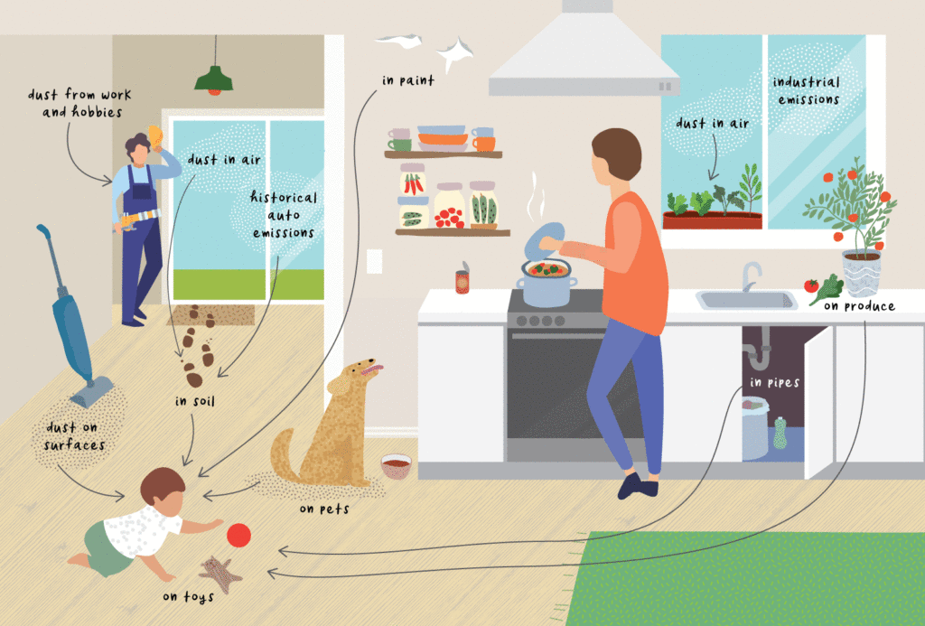 Lead Exposure Pathways