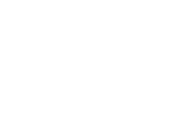 Health Homes Icon