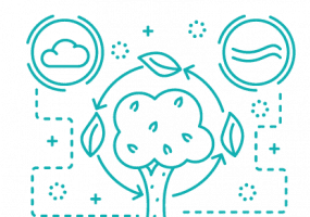 Air-Quality_11