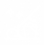 wet mop floor icon