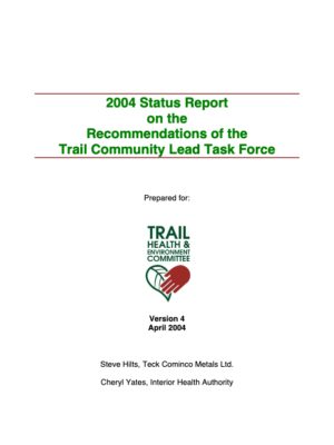 Program Strategy Report (2004)