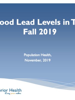 Fall 2019 Blood Lead Report