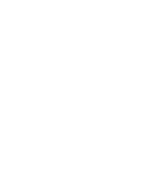 wet mop floor icon