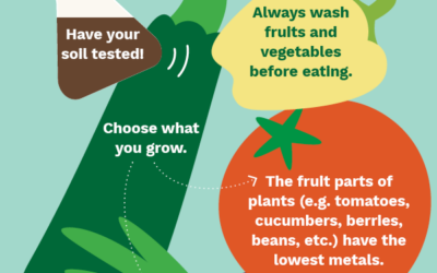 Tips for Growing Food in Trail