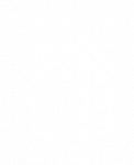 Secure House icon